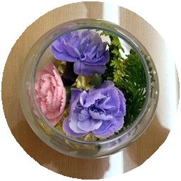 家族葬の葬儀実績（祭壇等写真付き）更新いたしました。の掲載画像（画像2）