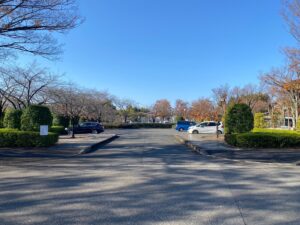 思い出の里会館の駐車場と周辺の植栽の写真を表示