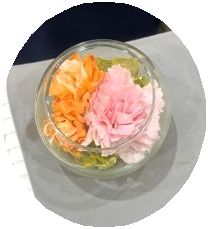 家族葬の葬儀実績更新いたしました。の掲載画像(画像2)