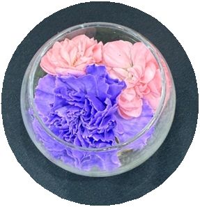 家族葬の葬儀実績(写真や内容付き)を更新いたしました。の掲載画像（画像2）